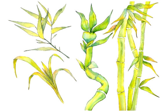 Download Bamboo Watercolor Product&nbsp; - Bamboo Collection